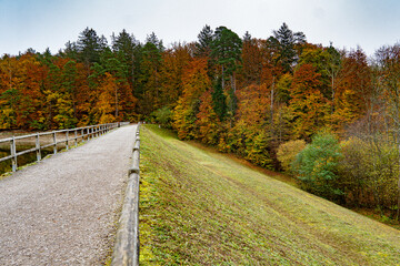 Whispers of Autumn: A Symphony of Orange and Gold at Stuttgart’s Hidden Gem, Bärensee