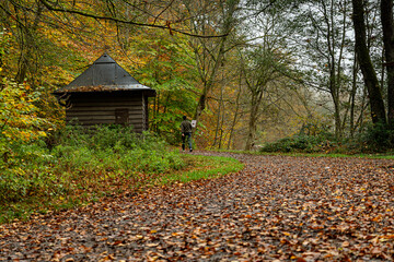 Whispers of Autumn: A Symphony of Orange and Gold at Stuttgart’s Hidden Gem, Bärensee