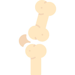 Knee Joint Icon