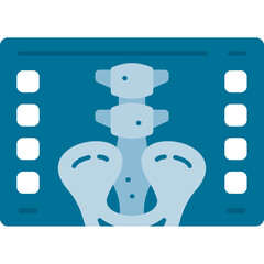 X-Ray Icon