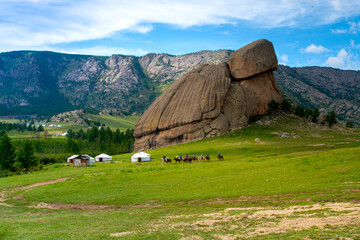 Turtle Rock, or Melkhii Khad, the famous gigantesque rock formed into a turtle shape by only wind and rain water in Gorkhi-Terelj National Park, Mongolia