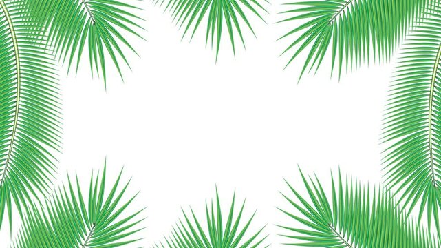 coconut leaf frame, looping animation, alpha channel setting