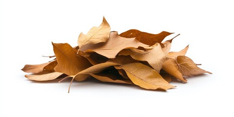 Fototapeta premium Autumn Leaves Pile Fall Foliage Dry Brown White Background