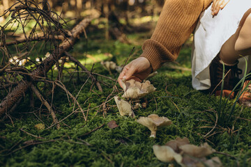 Female hand reaching for mushrooms on the ground covered in green moss. Mycelium packaging