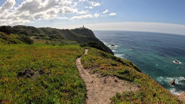 a path through fields of Carpobrotus edulis plants with a view to Cabo da Roca, Colares, Sintra, district of Lisbon, Portugal