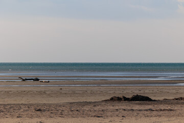 dettaglio di un ambiente marino in Italia sul mare Adriatico con la vista si estende dalla costa...