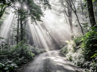 Obraz premium Whispering emerald trees guide travelers through a mystical, softly lit path, where shadows dance and light creates a magical atmosphere in