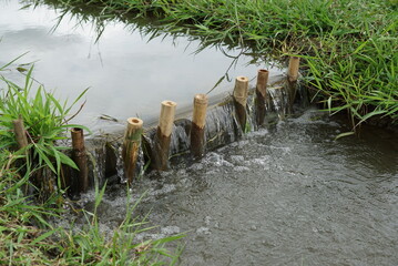 bamboo dam in the lawn