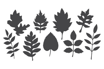 Paper Cut Fall Leaves SVG Cut File, Cricut Fall Leaves  Cut File, Cricut Fall Leaves vector