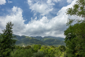 vista panoramica di una catena montuosa nel nord Italia, coperta da vaste foreste, vista dal basso,...