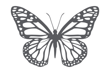 Paper cut Butterfly SVG cut file, butterfly svg cut file, Cricut butterfly