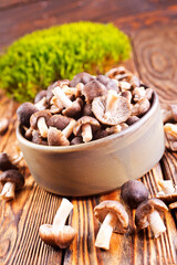 raw gray mushrooms in bowl