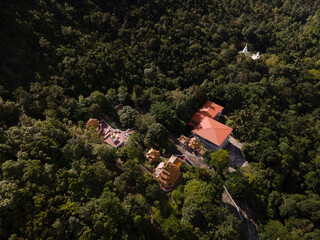 Traditional Asian Pagoda and Temple Surrounded by Jungle