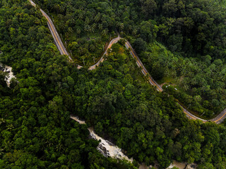 Rainforest from drone