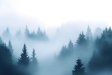 Fototapeta premium Extensive winter landscape in the morning mist, gentle wafts of mist, mystical atmosphere