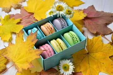 autumn still life with macaroons in a box