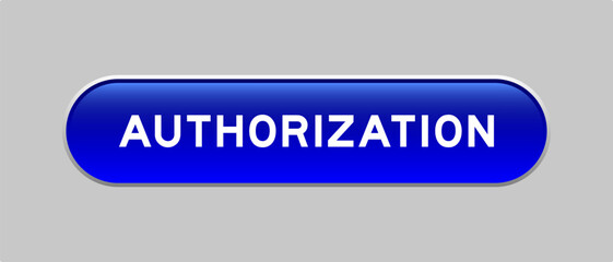 Blue color capsule shape button with word authorization on gray background