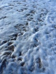 Espuma del mar