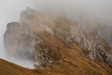 Foggy Seceda in the Dolomites of Italy