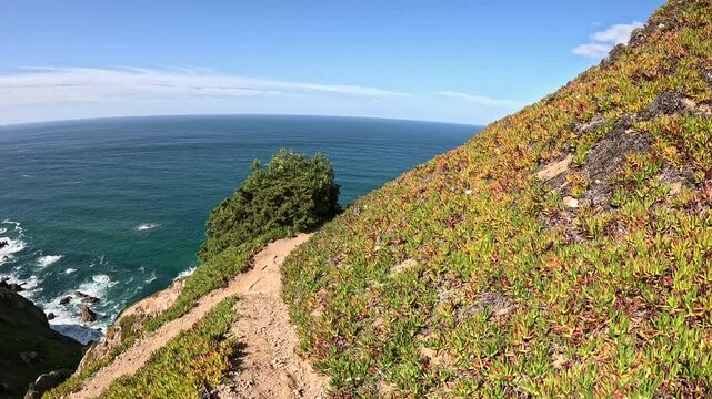 a trail through fields of Carpobrotus edulis plants near Cabo da Roca, Colares, Sintra, district of Lisbon, Portugal