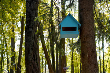 Wooden bird feeder on a tree in the autumn forest.