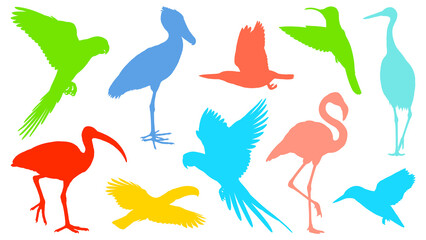 Colorful silhouette illustrations of various birds isolated on transparent background © Mori Takai