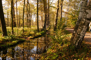 Der Spreewald bei Lübbenau im Herbst 