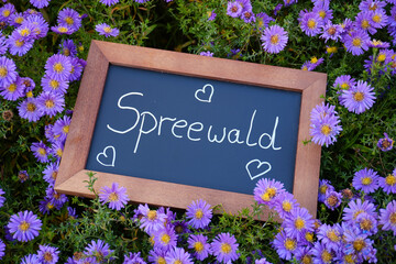 Holztafel mit der Aufschrift Spreewald in einem Blumenbeet