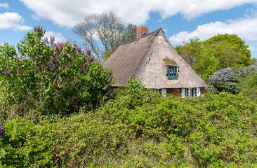Reetdachhaus an der Eckernförder Bucht, Schleswig-Holstein, Deutschland