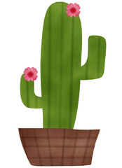 cactus in a flowerpot cactus in a pot