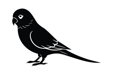 bird silhouette isolated on white