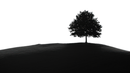 PNG Sillhouette Black and white isolate tree silhouette outdoors plant.