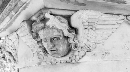 Stone angel head face sculpture closeup, detailed monument carving with wings classical...