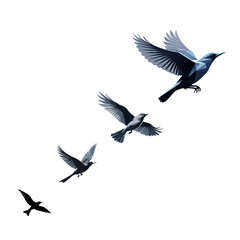 Silhouette of a bird flying free, vector