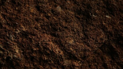 Close-up of rough brown rock texture.