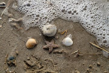 Am Strand von Blavand in Dänemark