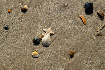 Am Strand von Blavand in Dänemark