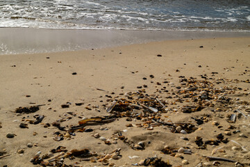 Am Strand von Blavand in Dänemark