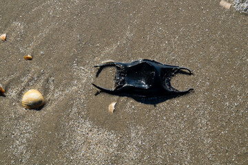 Am Strand von Blavand in D&auml;nemark