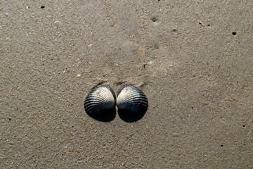 Am Strand von Blavand in Dänemark