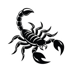 scorpion isolated on white background