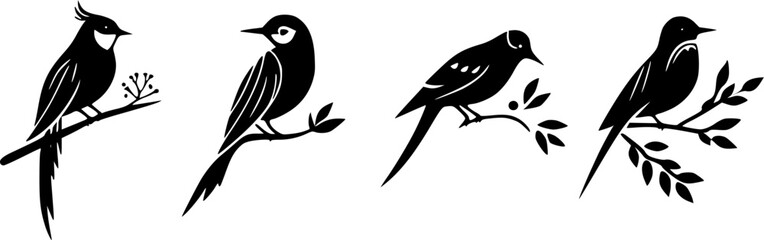 Silhouette of a bird sitting on a branch