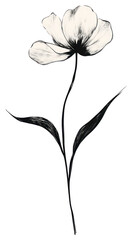 PNG Flower drawing sketch simple.