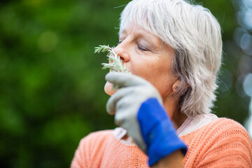 Senior woman smelling fresh herbs in the garden
