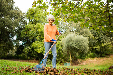 Elderly woman raking leaves in an autumn garden