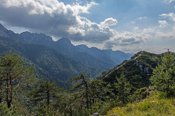 Obraz premium panoramica in alta quota con vista su varie cime ed alte catene montuose, coperte da vaste foreste verdi, che si estendono all'orizzonte, di giorno, con un cielo nuvoloso, in estate