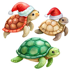 set of Cute turtle cartoon character on transparent background