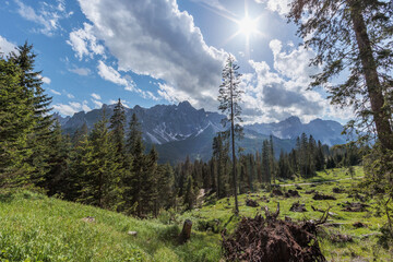 vista panoramica su un bellissimo ambiente di montagna nel Veneto nord orientale, a Passo Monte...