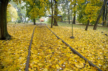 View of a path in an autumn park strewn with fallen yellow leaves