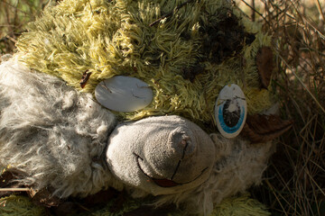 Old dirty plush rabbit toy